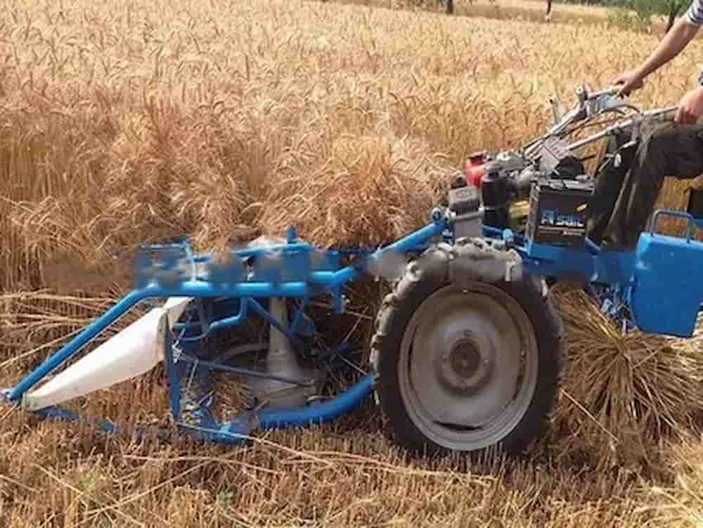 تصویر 4 از انواع دروگر گندم برای برداشت تخصصی در مزارع مختلف